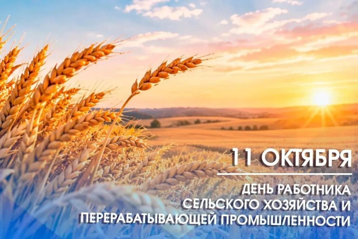 Сергей Волков: Дорогие труженики, работники перерабатывающей промышленности и ветераны агропромышленного комплекса города и региона!