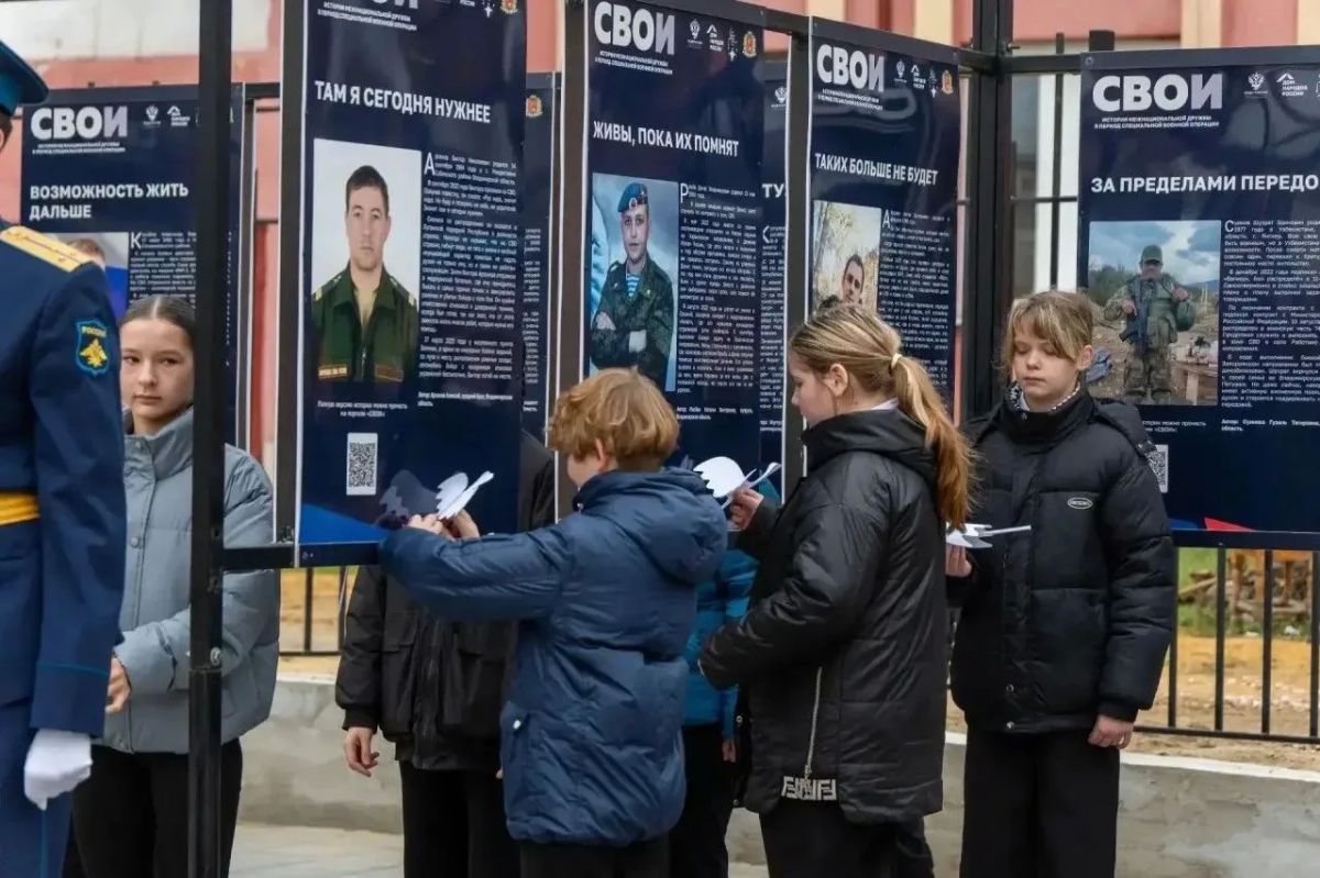 Память, которая объединяет: в Покрове открылась выставка «СВОи» Память, которая объединяет: в Покрове открылась выставка «СВОи»