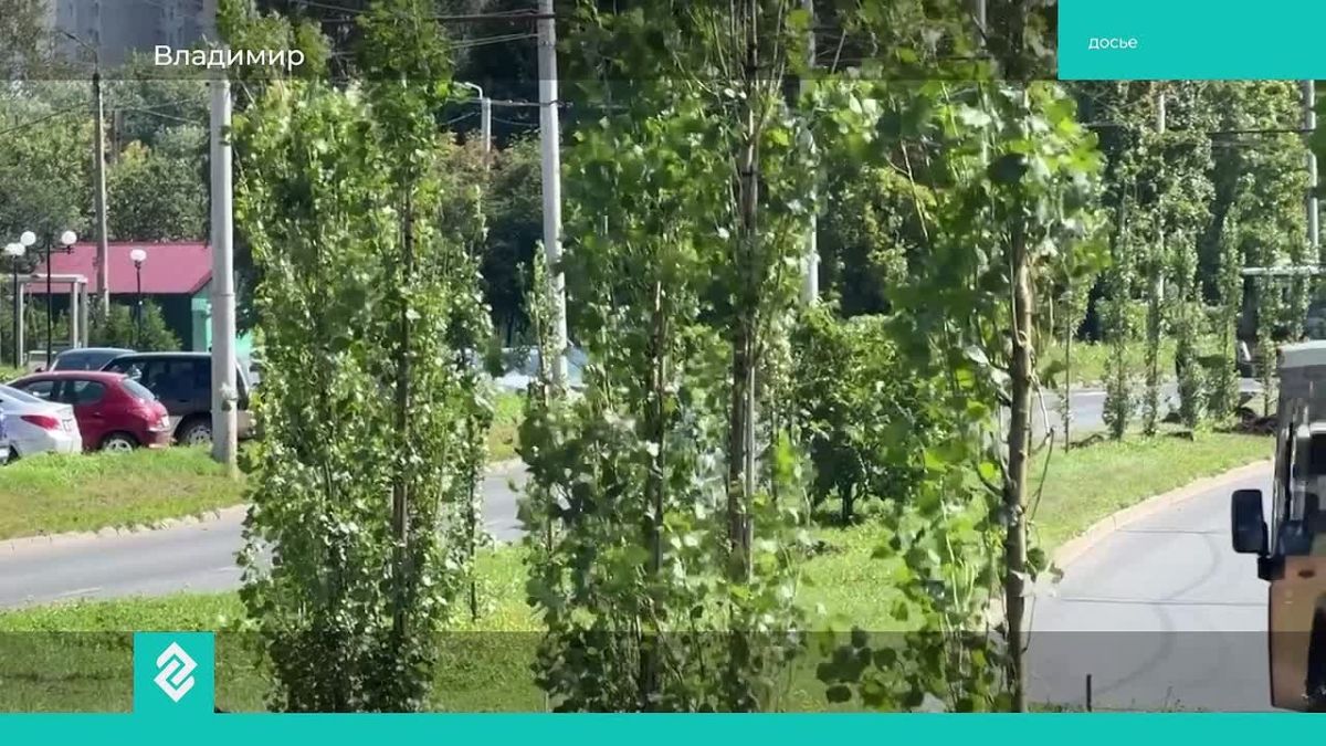 Владимирские озеленители сегодня подвели итоги сезона