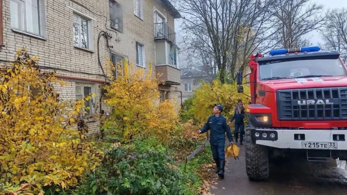 На пожаре в квартире в поселке Балакирево погиб 66-летний мужчина На пожаре в квартире в поселке Балакирево погиб 66-летний мужчина