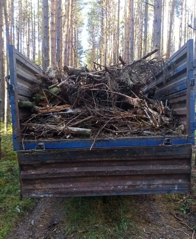 Прокуратура Селивановского района добилась ликвидации свалки с лесного участка Прокуратура Селивановского района добилась ликвидации свалки с лесного участка