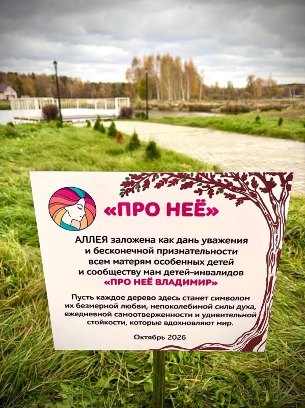 Мамы особенных детей посадили аллею кедров в деревне Толпухово Собинского округа Мамы особенных детей посадили аллею кедров в деревне Толпухово Собинского округа