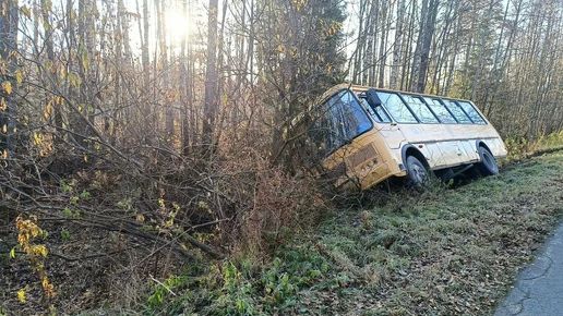 В Петушинском районе автобус со школьниками съехал в кювет